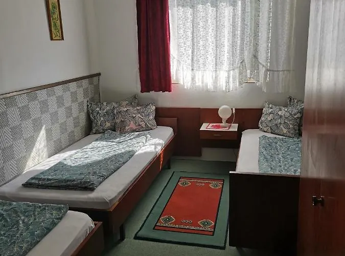 Villa-negra Retro Panzio